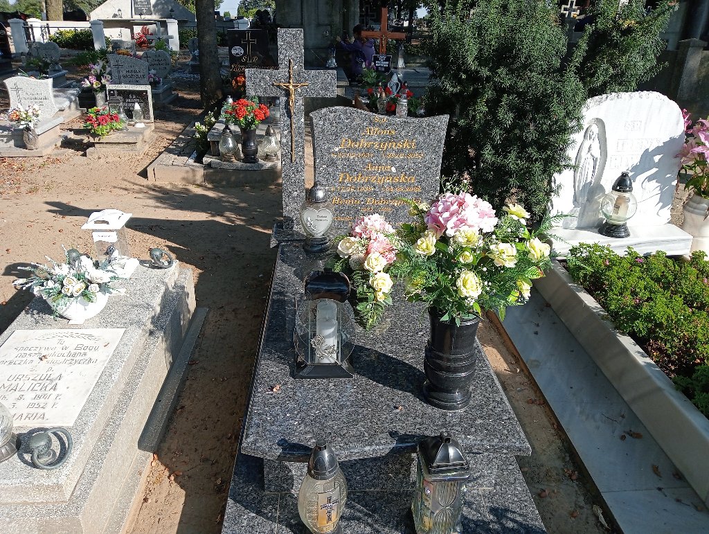 Grób Alfons Dobrzyński